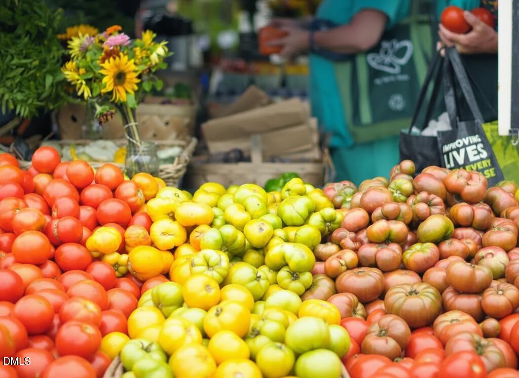 545 Libson Street Durham, NC 27703 - Photo 47 of 53 a view of a room with lots of green space