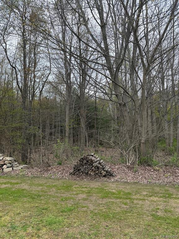 8128 Howard Road Marlette, MI 48453 - Photo 11 of 11