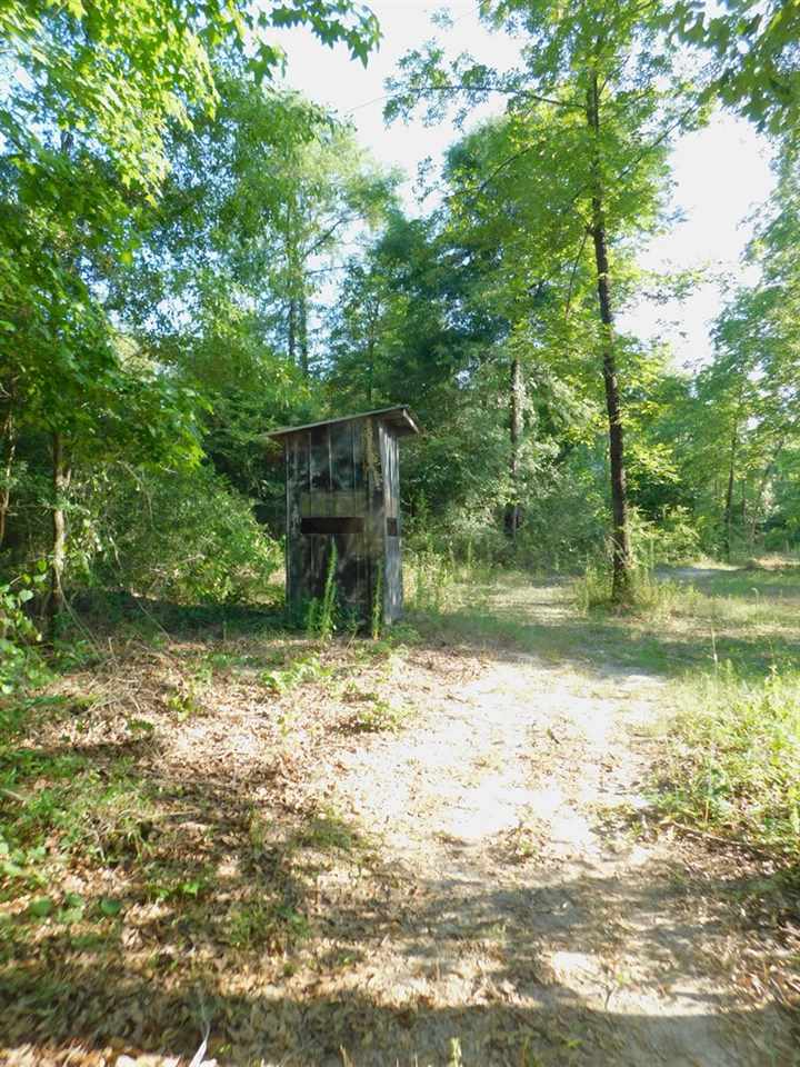 0 Pond Road Andalusia, AL 36421 - Photo 11 of 15 Gallery Image 11
