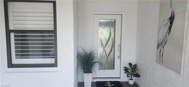 a potted plant sitting in front of a window