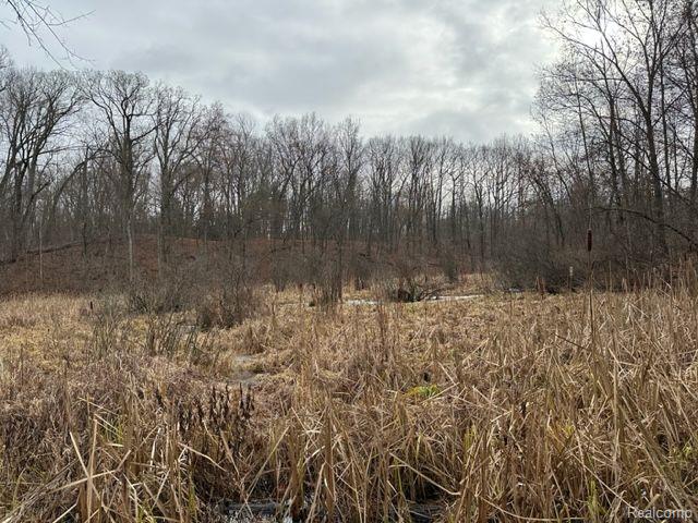 2.76 Perry Lake Road Ortonville, MI 48462 - Photo 8 of 8