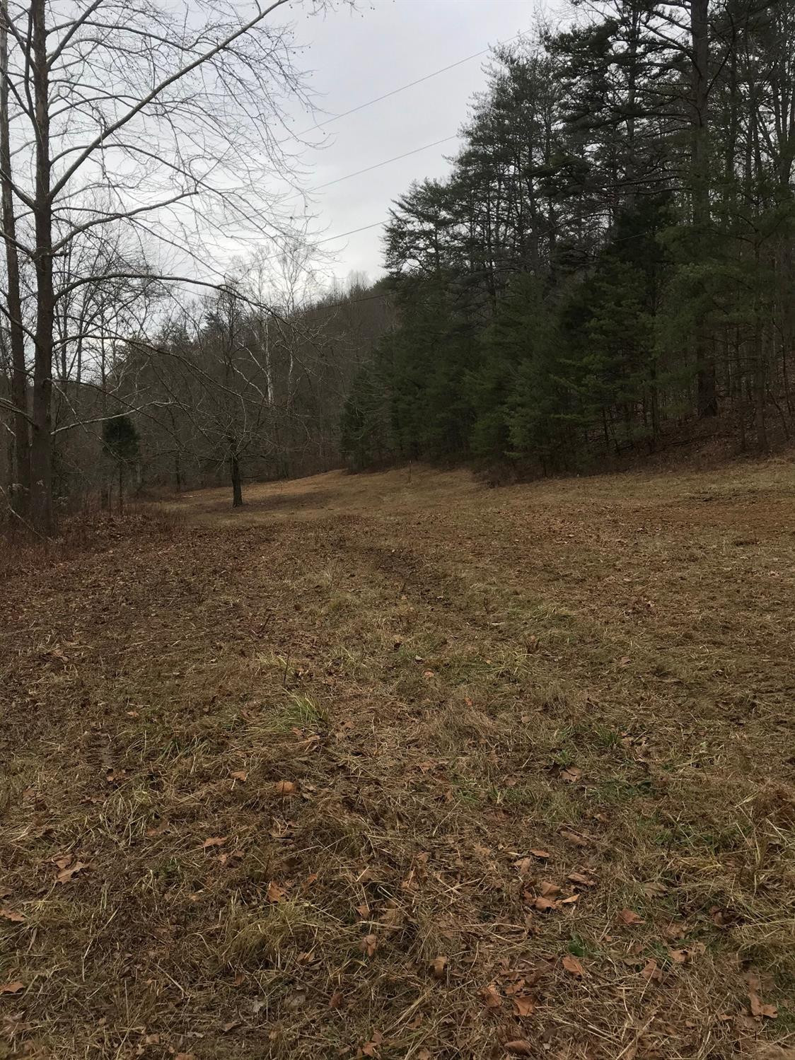 268 Letter Rock Road Livingston, KY 40445 - Photo 13 of 14 Photo 13