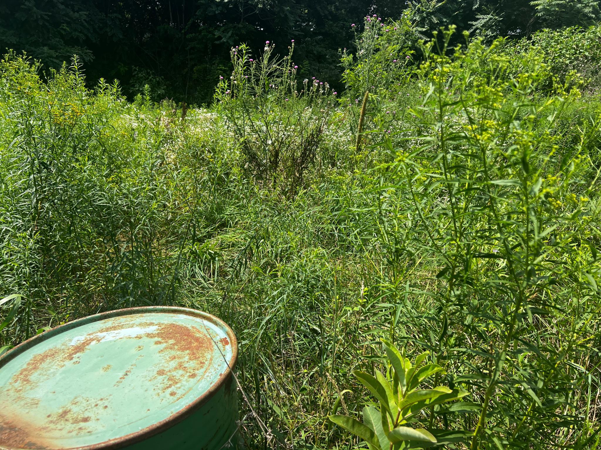2971 Co Rte 259/3 Mathias, WV 26812 - Photo 37 of 41 Location of one of the 4 wells