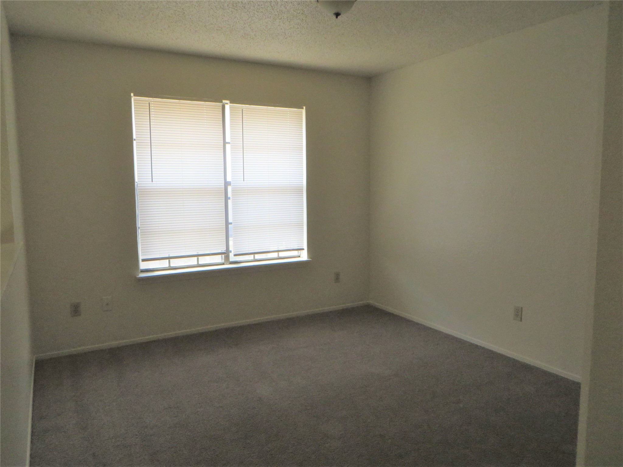 2217 Katy Lane, Unit C Georgetown, TX 78626 - Photo 9 of 21 an empty room with a window
