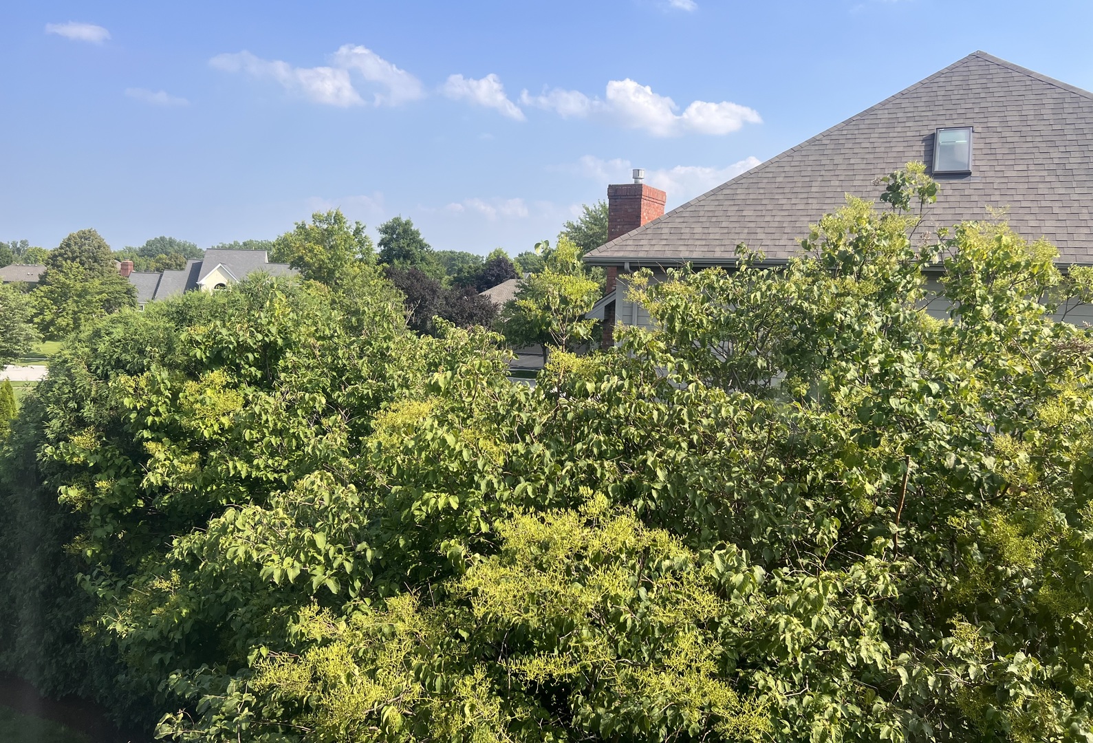 21367 Brittany Drive Frankfort, IL 60423 - Photo 57 of 58