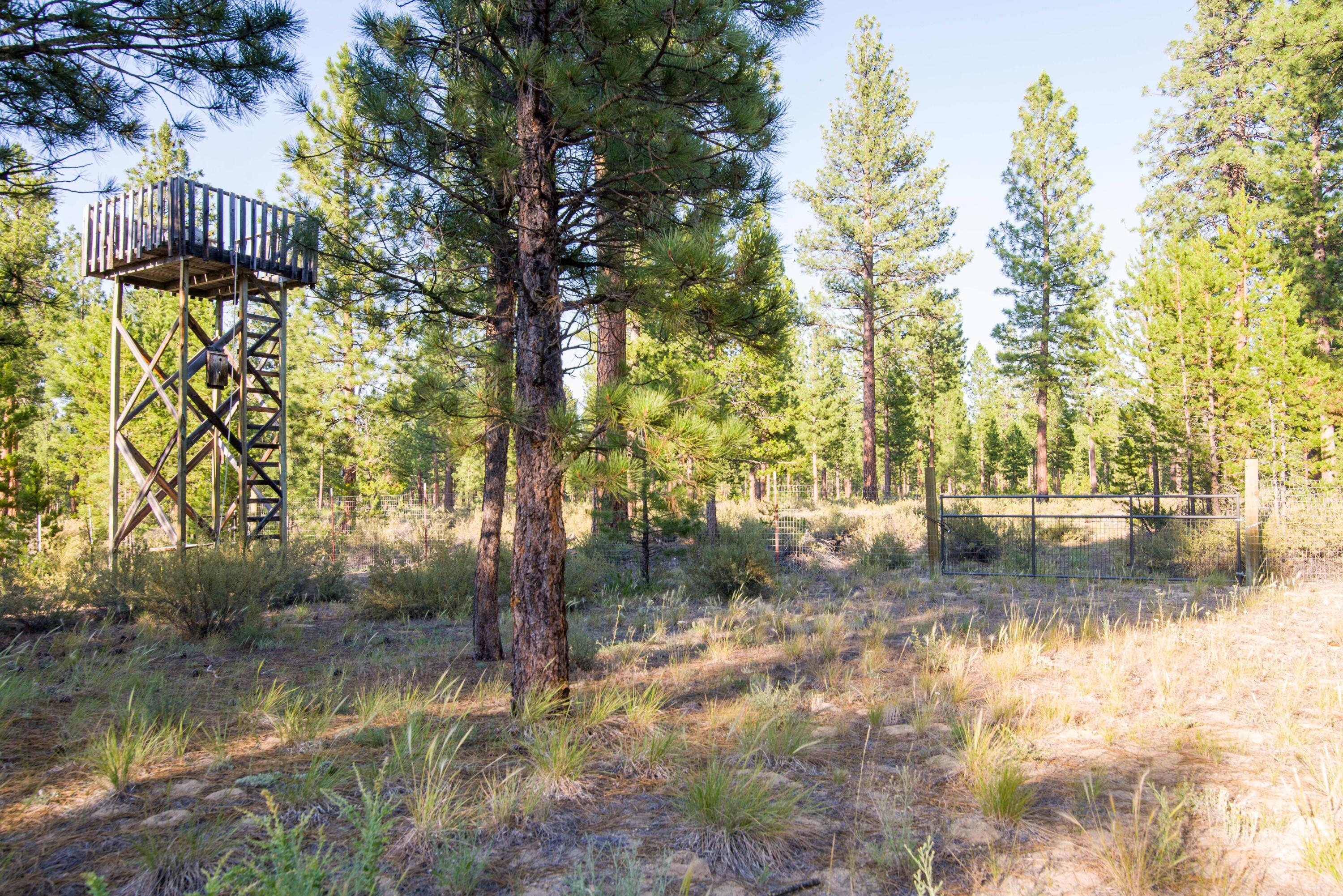 50832 Doe Loop La Pine, OR 97739 - Photo 9 of 10 3_RMG8393