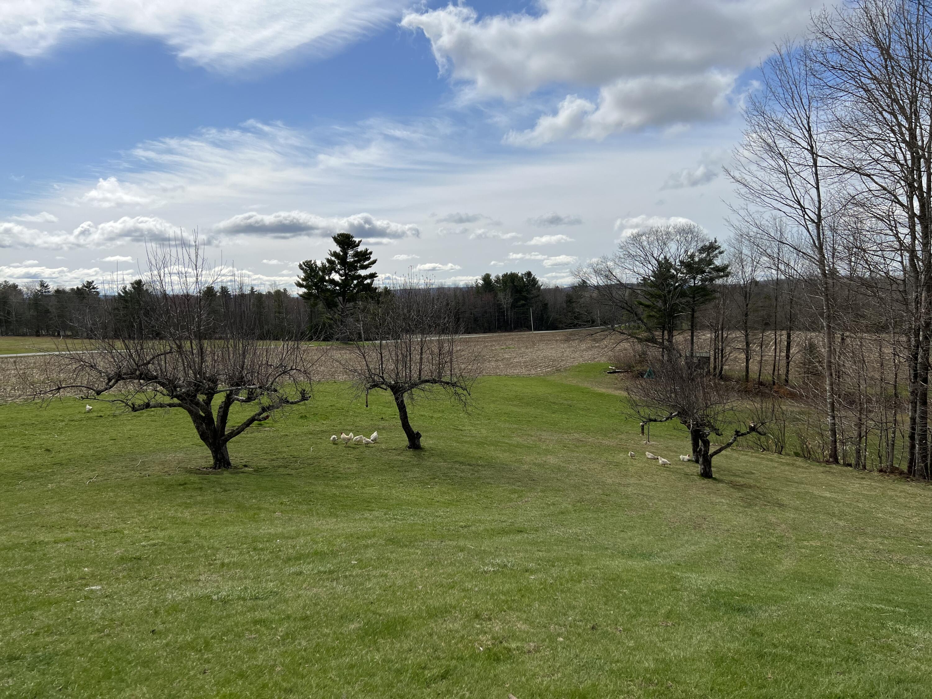 767 East Sangerville Road Sangerville, ME 04479 - Photo 15 of 68 image00016