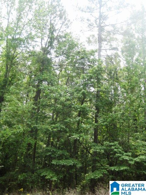 0 Sulphur Springs Road, Unit 10 ACRES Lincoln, AL 35096 - Photo 29 of 32