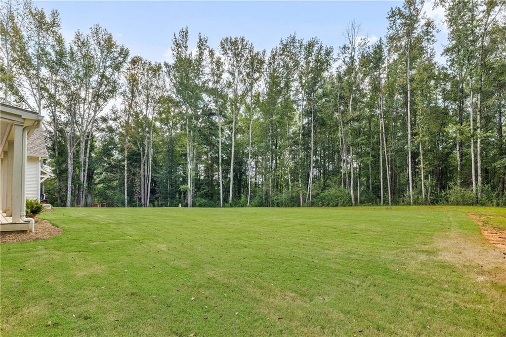9311 Waterworks Road Chattahoochee Hills, GA 30268 - Photo 55 of 57 a view of a grassy field with trees in the background