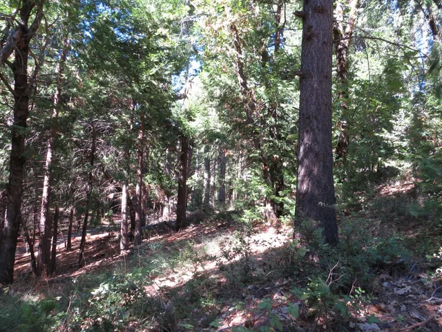 $38,500 | 172 Sylvan Road, Colfax, CA 95713