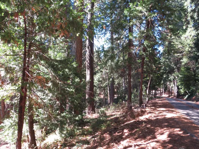 $38,500 | 172 Sylvan Road, Colfax, CA 95713