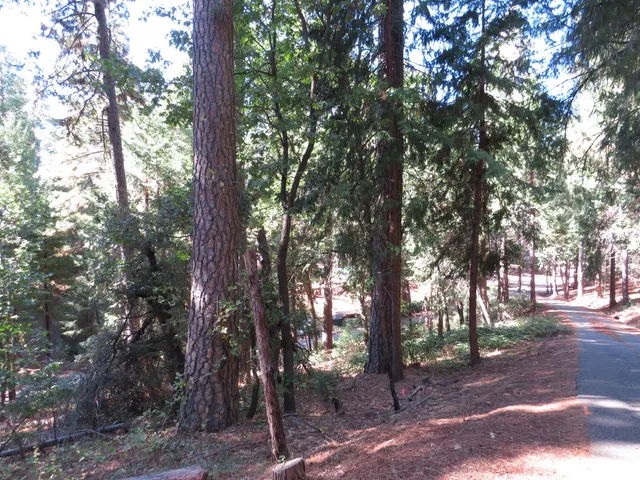 $38,500 | 172 Sylvan Road, Colfax, CA 95713