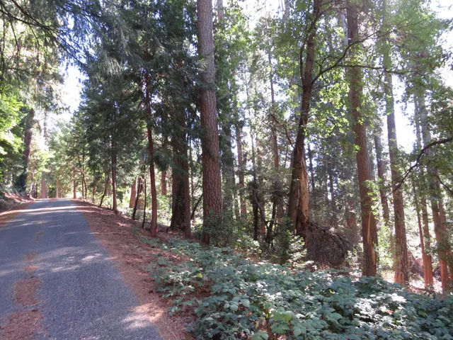 $38,500 | 172 Sylvan Road, Colfax, CA 95713