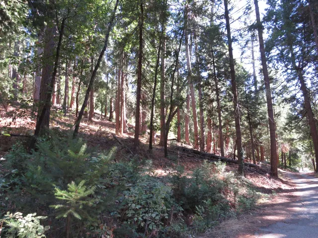 $38,500 | 172 Sylvan Road, Colfax, CA 95713