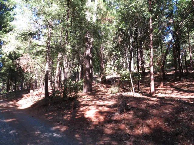 $38,500 | 172 Sylvan Road, Colfax, CA 95713