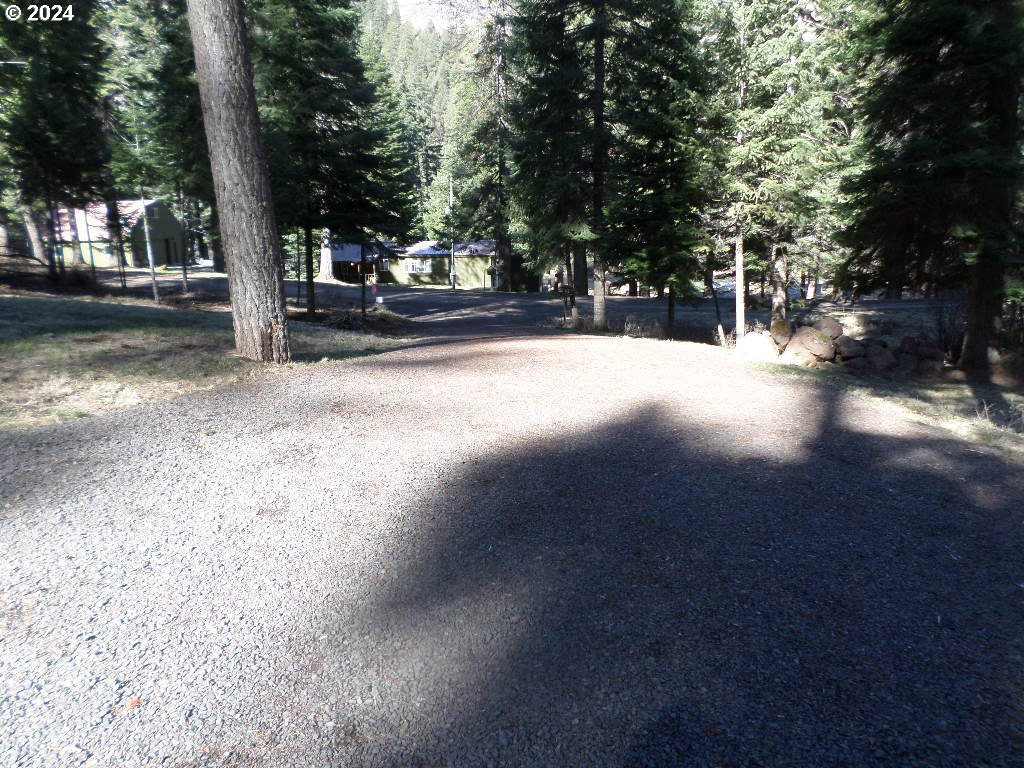 59931 River Canyon Road Imnaha, OR 97842 - Photo 16 of 19