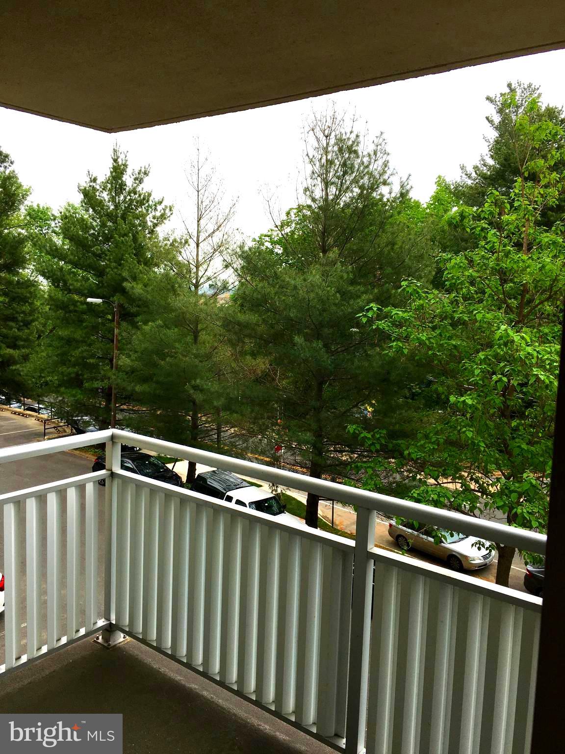 1301 South Arlington Ridge Road, Unit 203 Arlington, VA 22202 - Photo 27 of 31 Large Balcony with park like views