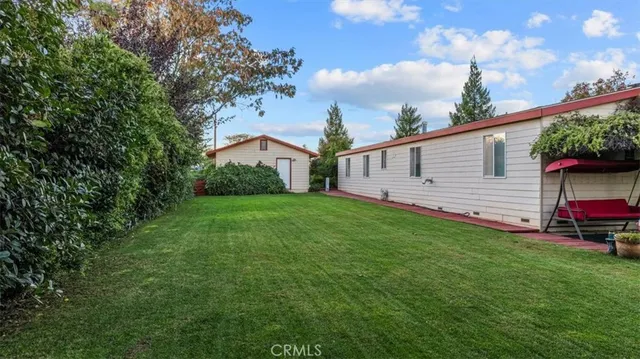 a view of a backyard with a tree