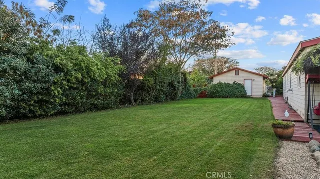 a view of a yard with a trees