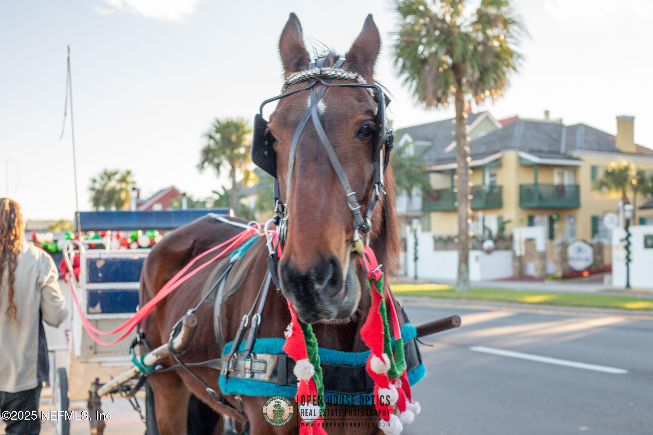 160 Seaside Vista St. Augustine, FL 32084 - Photo 49 of 59 OHO Amenities Library - Historic St Augu
