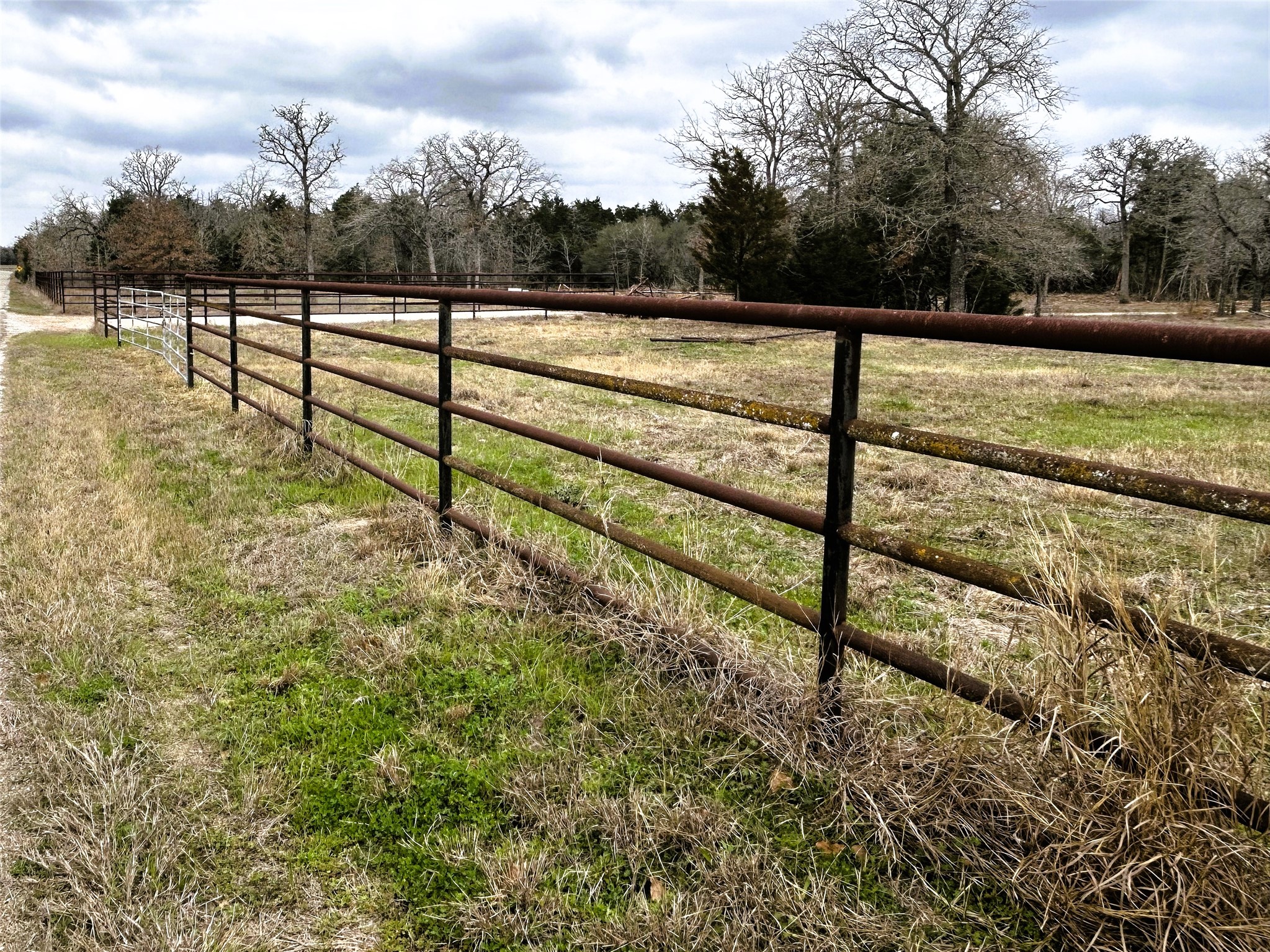 1741 Lange Road Ledbetter, TX 78946 - Photo 2 of 9 View of yard with a view of rural / pastoral area