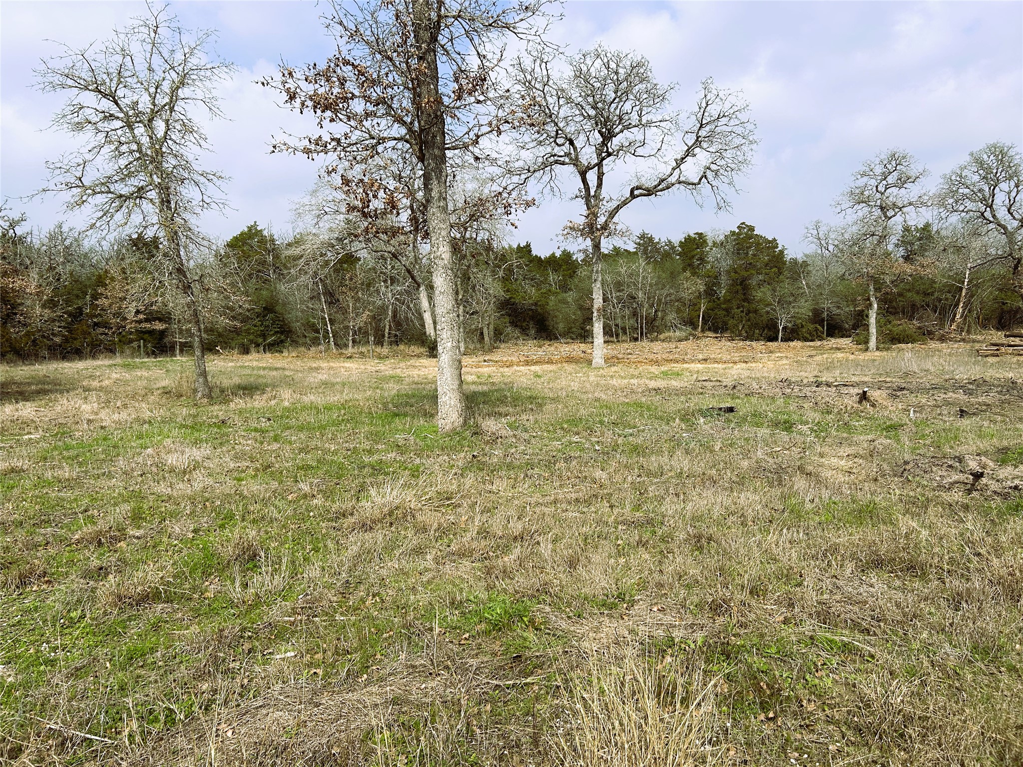 1741 Lange Road Ledbetter, TX 78946 - Photo 7 of 9 View of undeveloped land featuring rural landscape
