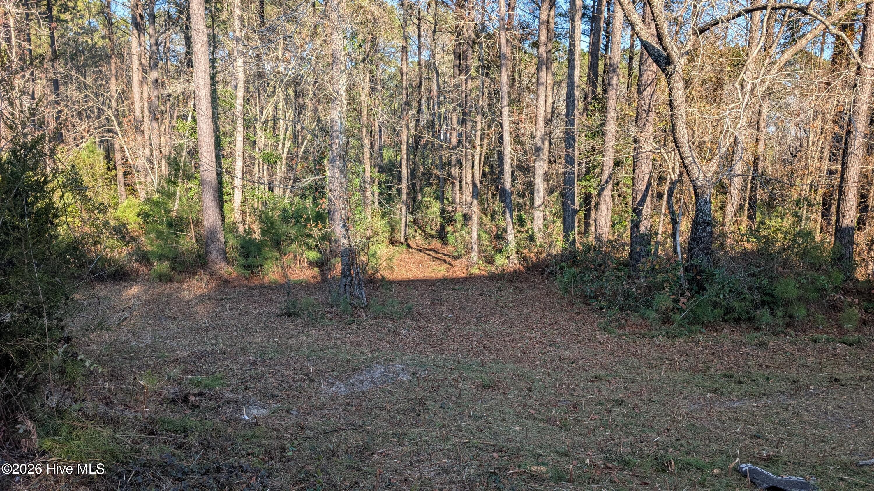 314 Livingston Court Holly Ridge, NC 28445 - Photo 2 of 12