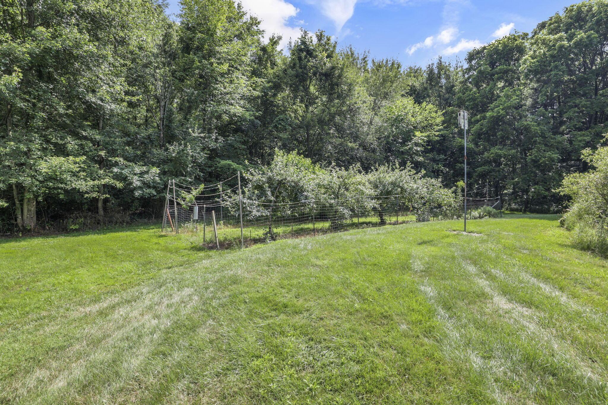 7877 Outville Road Southwest Pataskala, OH 43062 - Photo 20 of 88 73-web-or-mls-0N4A0627