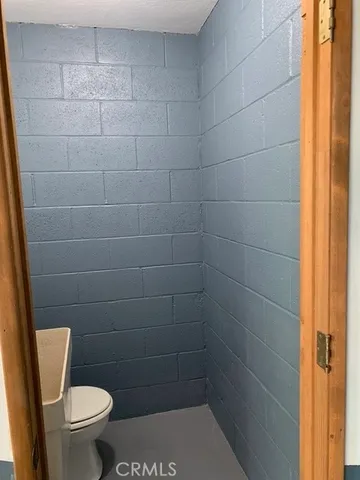 a view of a forest filled with trees