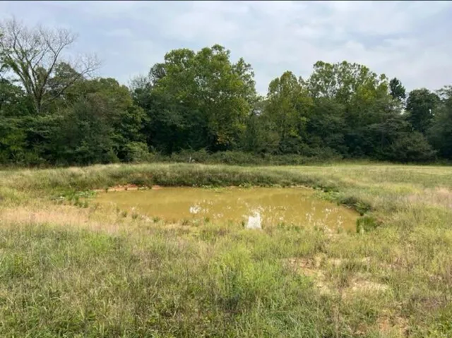 $119,000 | 15442 Boiling Springs Road, Licking, MO 65542