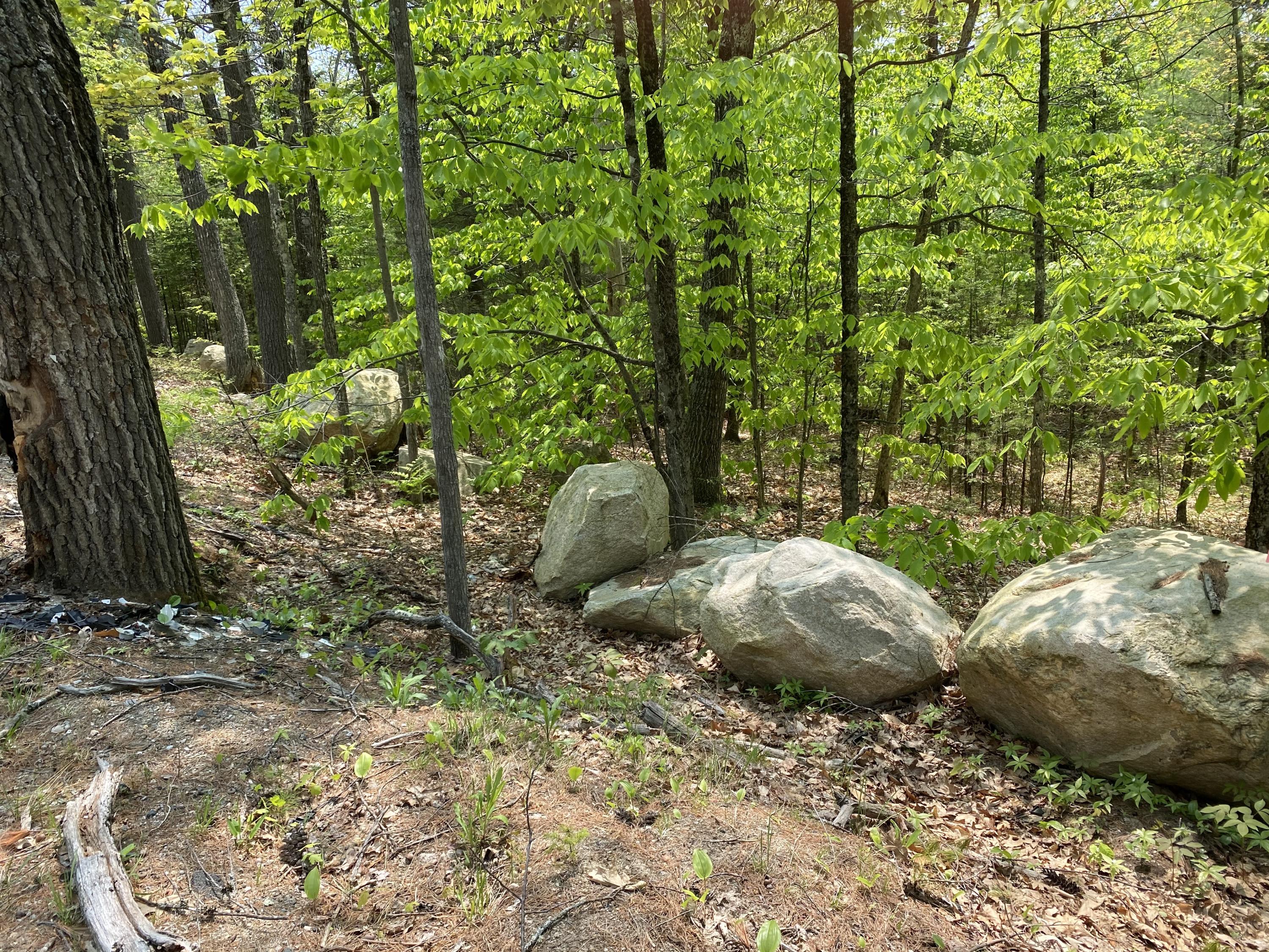 Lot 13 Knights Hill Road Harrison, ME 04040 - Photo 2 of 3 Dolloff 2