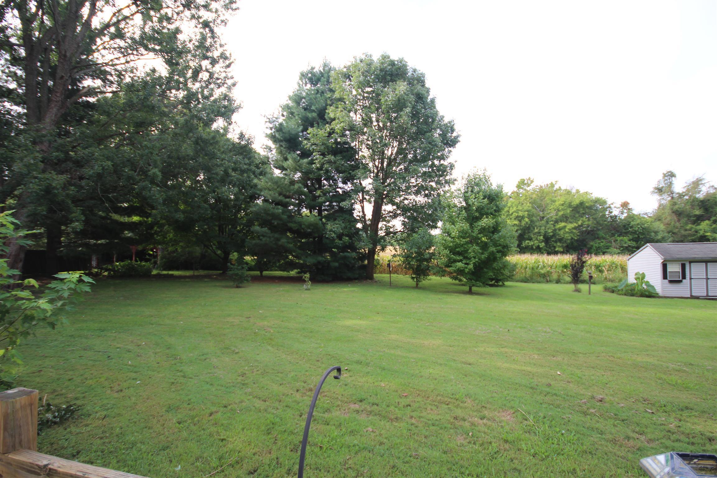 5338 New Chapel Road Springfield, TN 37172 - Photo 7 of 22 a backyard of a house with lots of green space