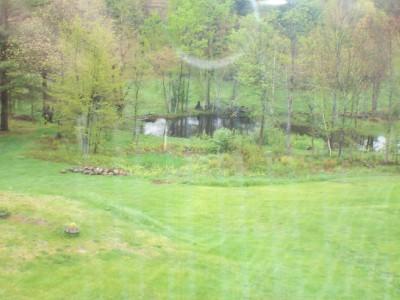 1065 Back Road Shapleigh, ME 04076 - Photo 13 of 13 View. View from back porch...