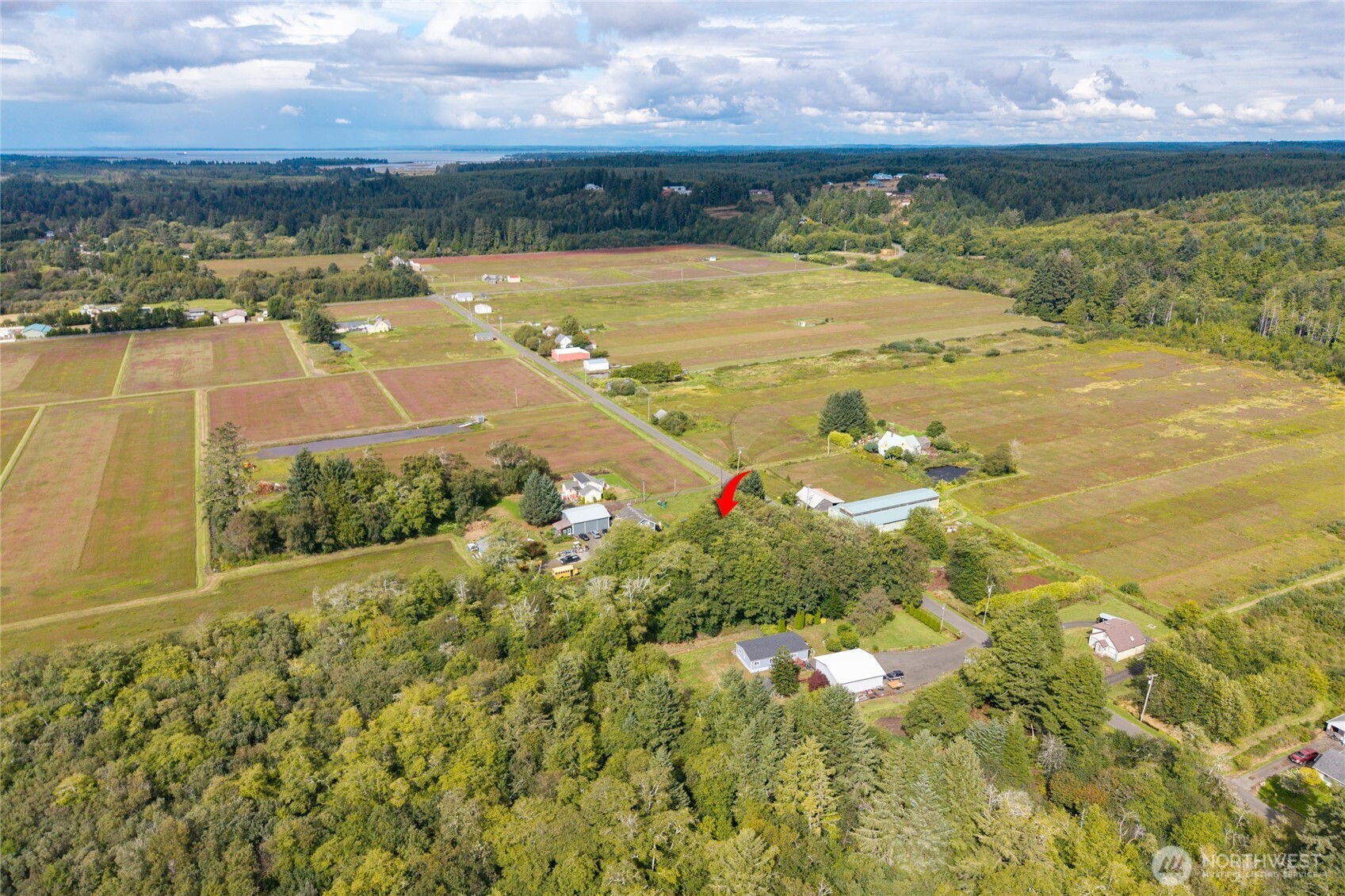 1901 Cranberry Road Grayland, WA 98547 - Photo 29 of 37 Gallery Image 29