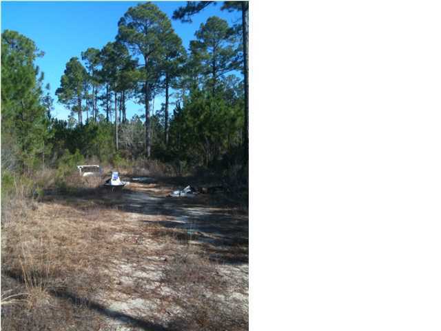 210 East Nursery Road Santa Rosa Beach, FL 32459 - Photo 3 of 3 a view of a yard