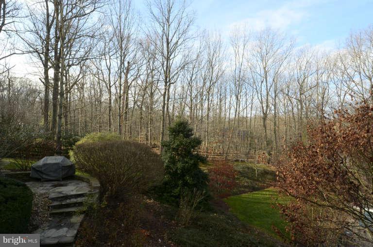 10531 Wickens Road Vienna, VA 22181 - Photo 24 of 30 Gorgeous Wooded Views Abound in Luscious Landscape