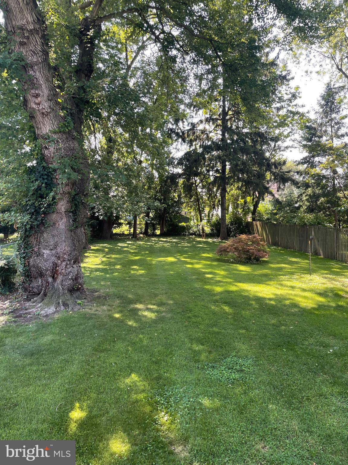 465 Prospect Road Springfield, PA 19064 - Photo 19 of 19 rear level yard