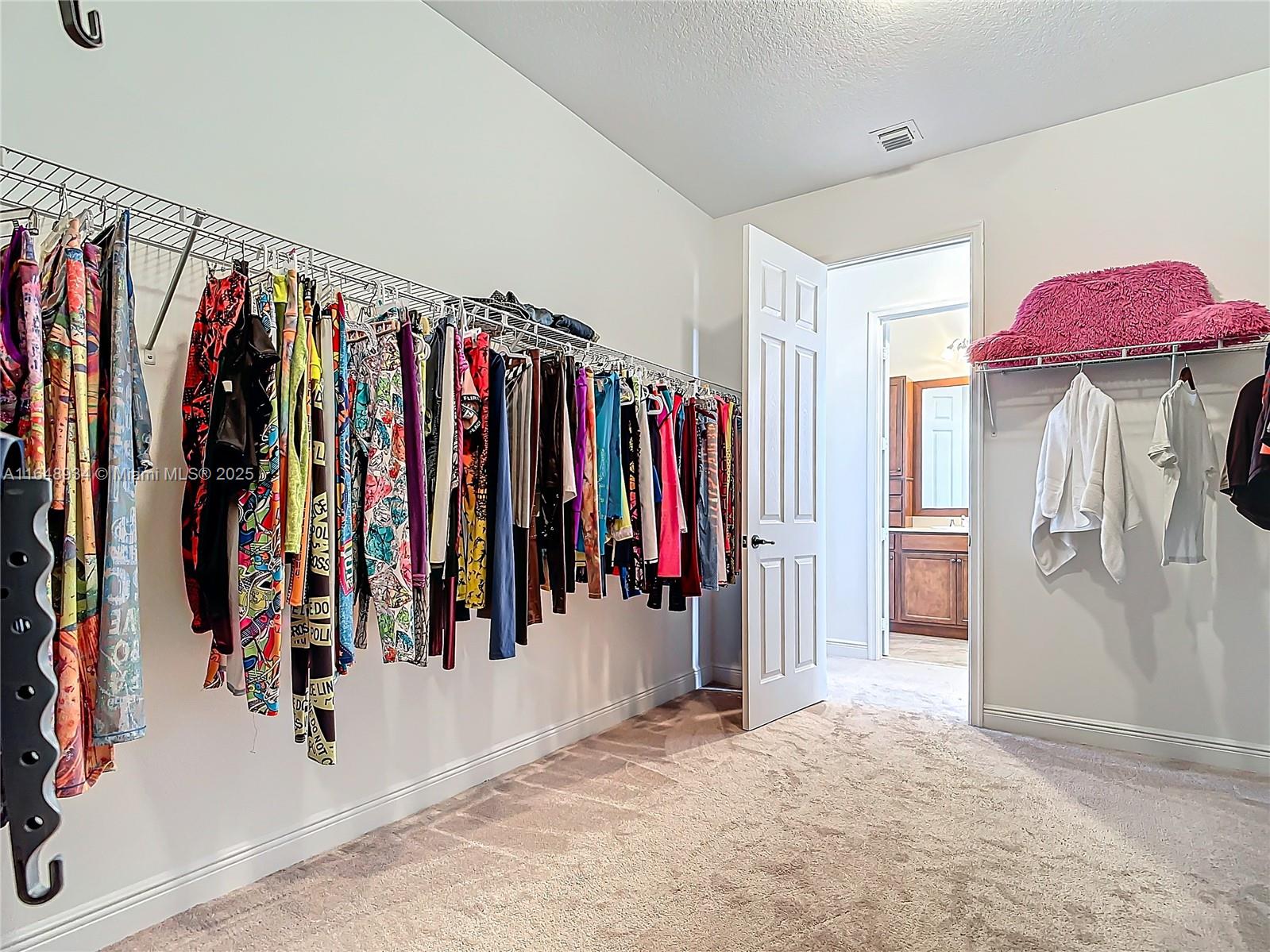 5053 Rimini Avenue Ave Maria, FL 34142 - Photo 51 of 60