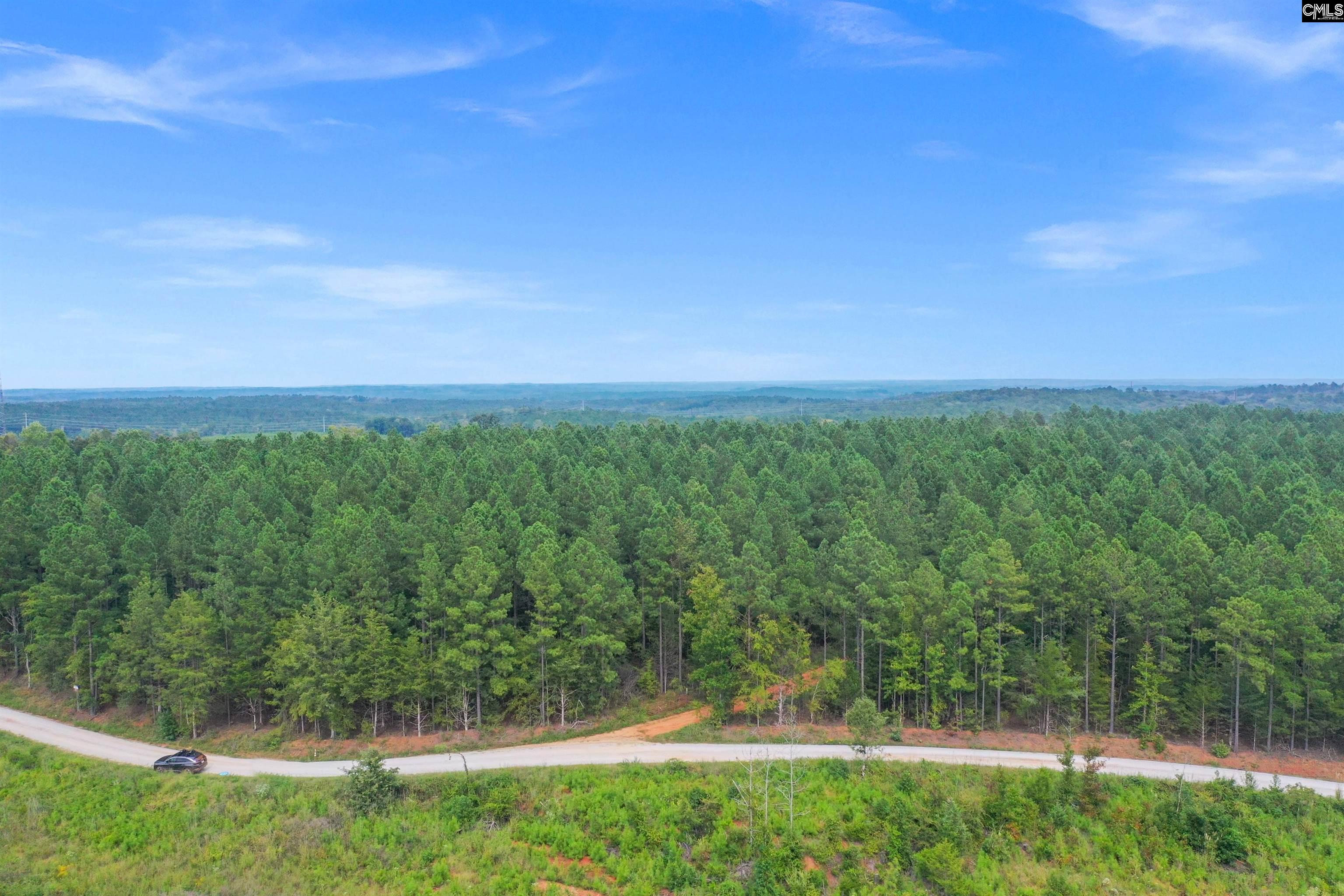 0 Penner Road, Unit 10 Jenkinsville, SC 29065 - Photo 18 of 43