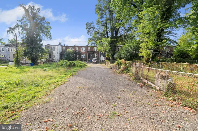 a view of a yard with plants and large trees