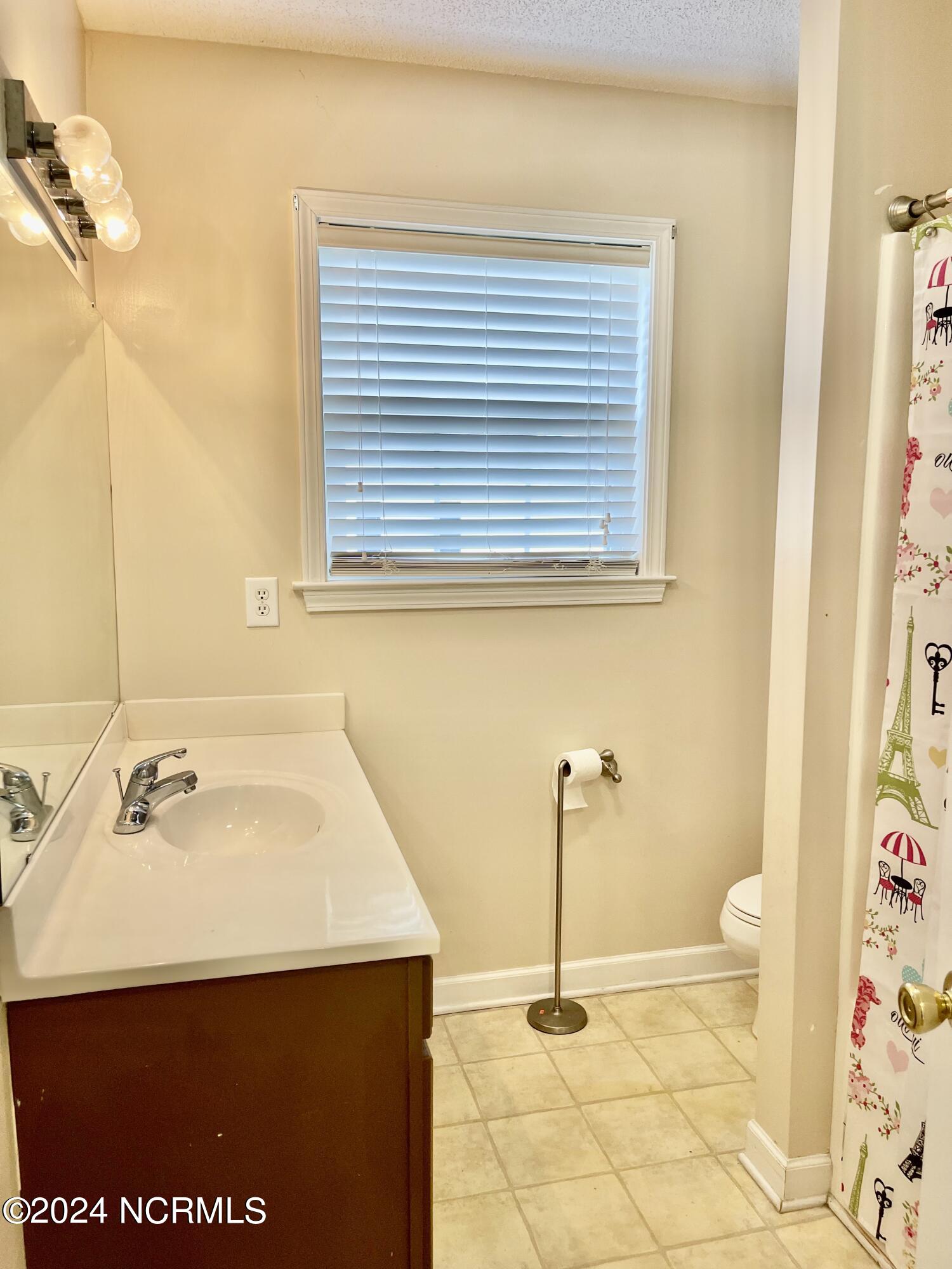 221 Farmstead Court Rockingham, NC 28379 - Photo 13 of 22 hall bathroom