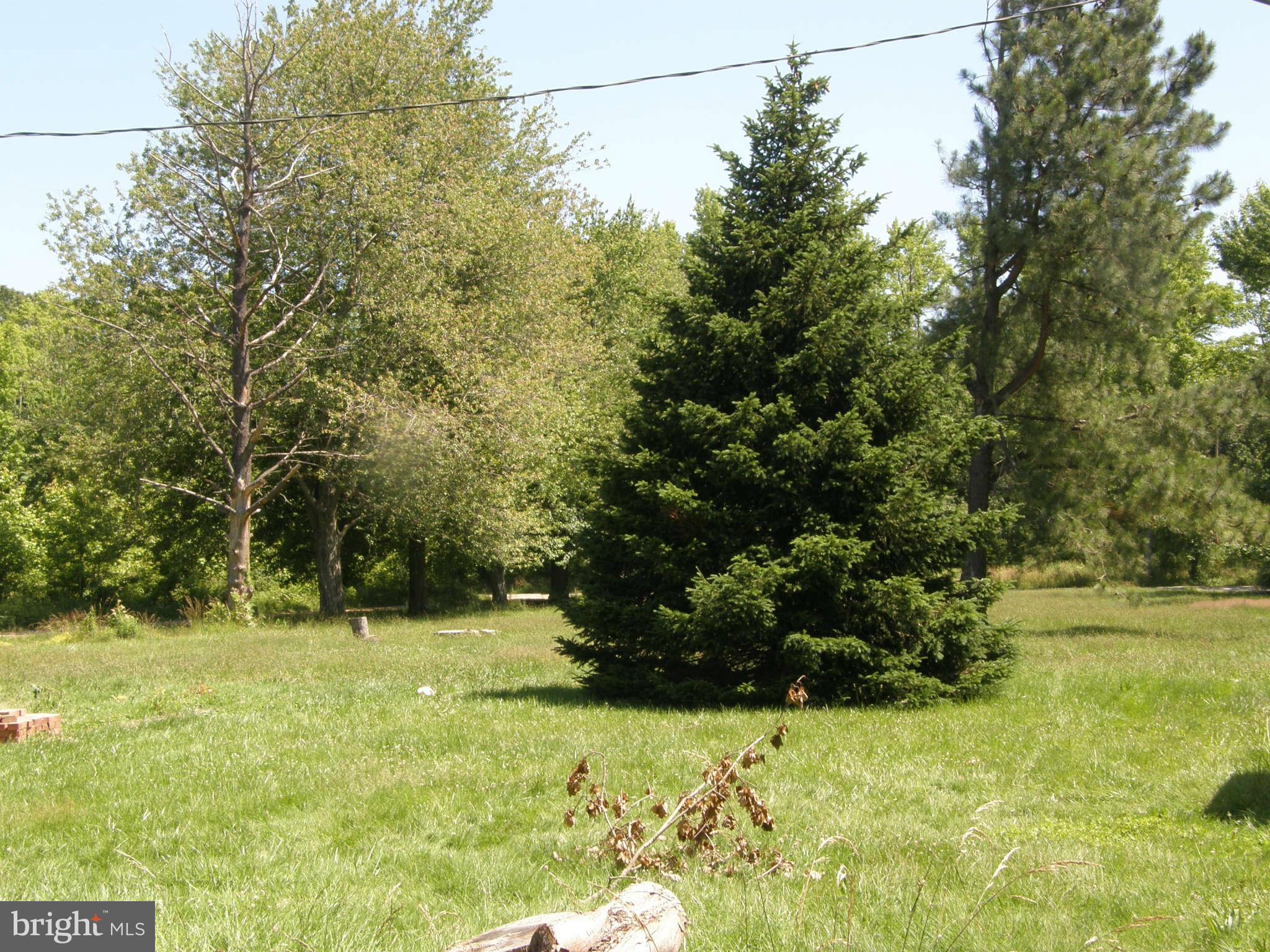 1085 Rodgers Road Churchton, MD 20733 - Photo 14 of 15 Exterior General