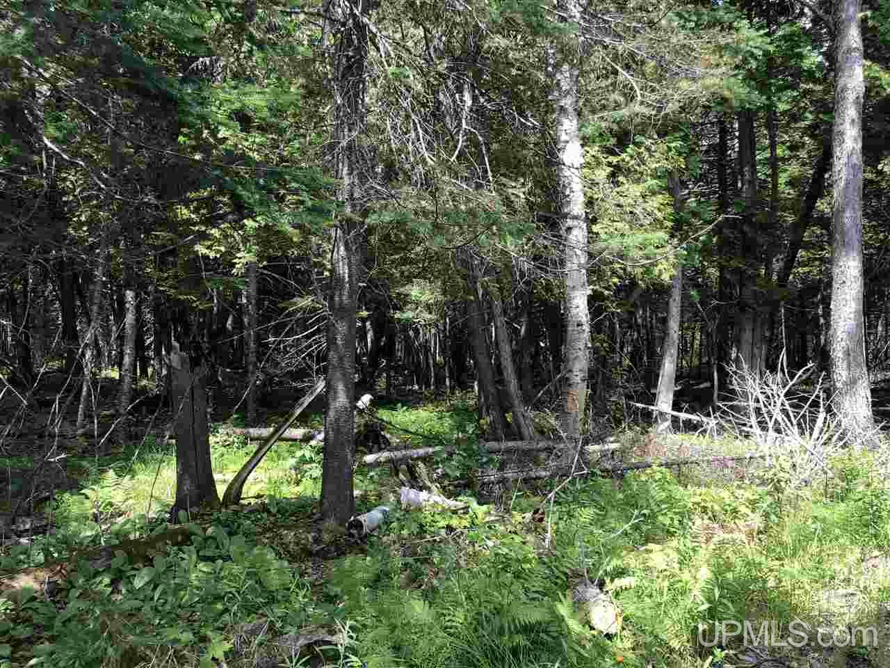 Tbd A Sandstone Road Lake Linden, MI 49945 - Photo 12 of 18 Gallery Image 12