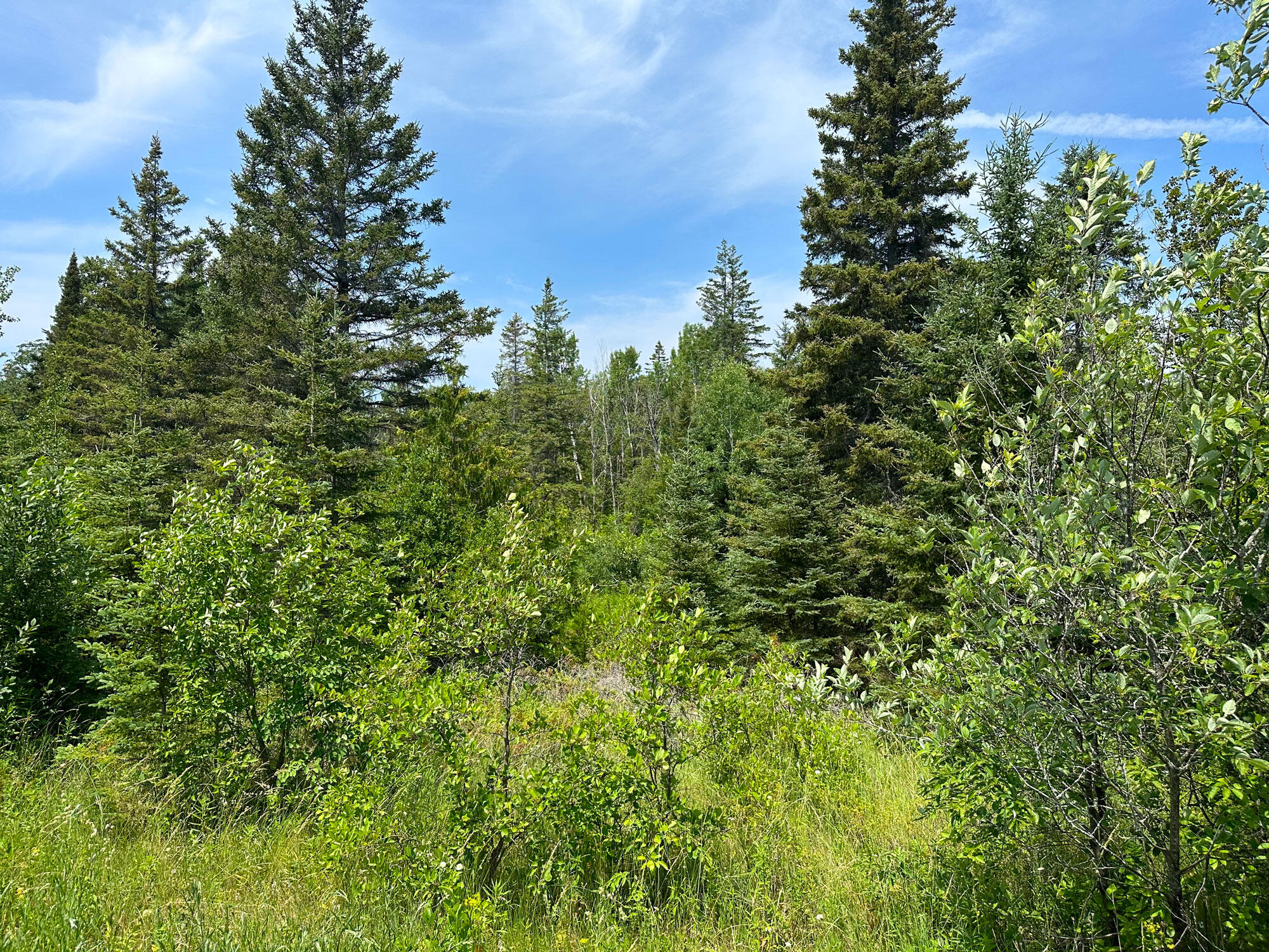 1363 Cheeseman Road St. Ignace, MI 49781 - Photo 25 of 35 Gallery Image 25