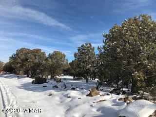 1879 Pronghorn Road Show Low, AZ 85901 - Photo 15 of 17 Gallery Image 15