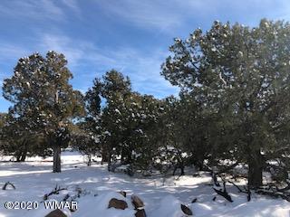1879 Pronghorn Road Show Low, AZ 85901 - Photo 16 of 17 Gallery Image 16