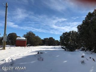 1879 Pronghorn Road Show Low, AZ 85901 - Photo 17 of 17 Gallery Image 17