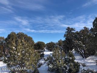 1879 Pronghorn Road Show Low, AZ 85901 - Photo 2 of 17 Gallery Image 2
