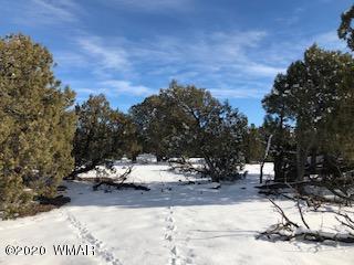 1879 Pronghorn Road Show Low, AZ 85901 - Photo 3 of 17 Gallery Image 3