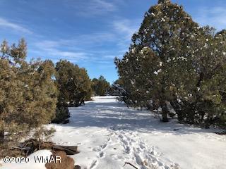 1879 Pronghorn Road Show Low, AZ 85901 - Photo 7 of 17 Gallery Image 7
